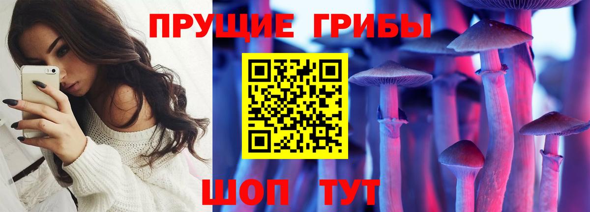 Галлюциногенные грибы GOLDEN TEACHER  Вход с VPN  Реж  Псилоцибиновые грибы ЛСД 